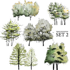 PNG illustration of trees side view hand drawn for architectural and landscape design in a watercolor style set 2