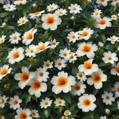 Obraz premium Lively white floral with orange stigma and lush greenery, flourishing, seasonal bloom, vibrant nature, elegant design, natural beauty