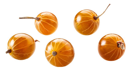 Cape gooseberry, Close up of physalis isolated on transparent background