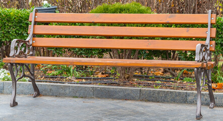 Wooden bench in the park