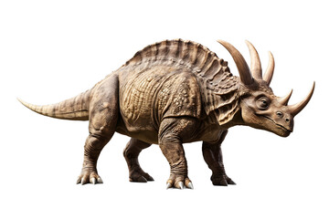 Fototapeta premium Realistic 3D Render of a Triceratops Dinosaur