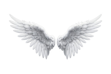 Obraz premium Pair of Elegant White Angel Wings on Transparent Background