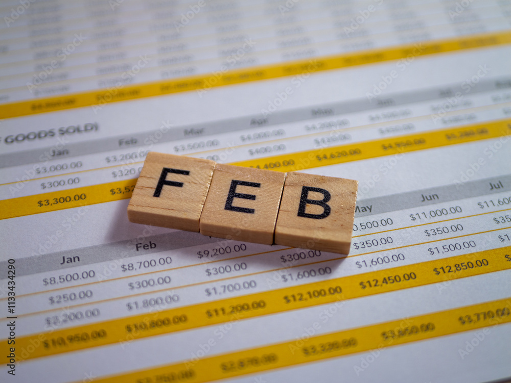 Aufkleber financial overview for february budget analysis office report professional data insights
