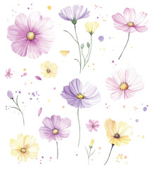 Fototapeta premium Watercolor Illustrations of Delicate Pastel Wildflowers on White Background