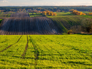 An autumn agricultural landscape.. Here is an image depicting an autumn agricultural landscape with picturesque fields, trees in fall colors, and a peaceful rural setting. Roztocze. Poland.