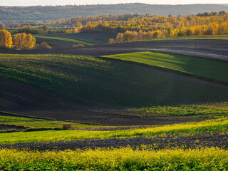 An autumn agricultural landscape.. Here is an image depicting an autumn agricultural landscape with picturesque fields, trees in fall colors, and a peaceful rural setting. Roztocze. Poland.