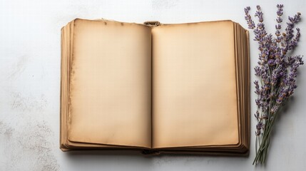 Fototapeta premium Open aged book with lavender sprigs on textured surface. History and education