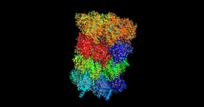 Malaria - Plasmodium falciparum proteasome, 3D molecule spinning 4k