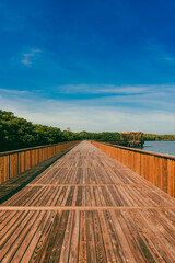 The Mallorquín swamp seen from the pier and blue sky. Barranquilla, Atlantico, Colombia.