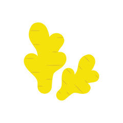 Obraz premium Ginger vector icon