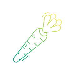 Carrot vector icon