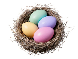 easter eggs in a nest isolated on white 