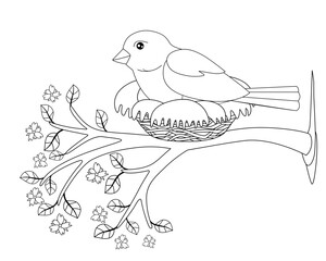 Obraz premium A bird sits in a nest on a flowering spring branch - vector linear picture for coloring. A small bird - a sparrow hatches eggs in a cozy nest on a tree with flowers and tender young leaves. Outline 