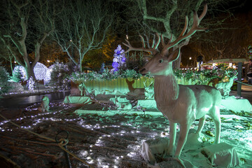 Marché de Noël et illuminations à Beziers dans le département de l'Herault en région Occitanie...