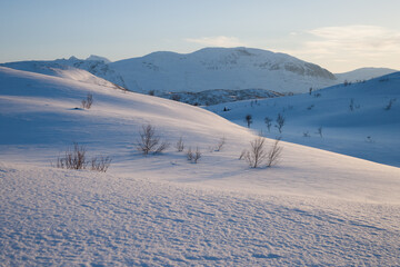 evening light over a beautiful winter landscape in norway