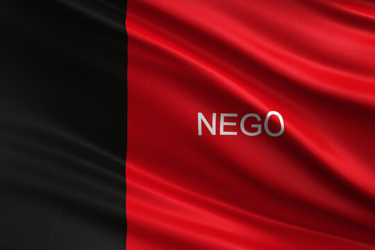      Bandeiras dos Estados Brasileiros - Para&iacute;ba - PB