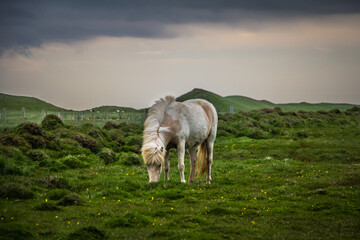 Iceland