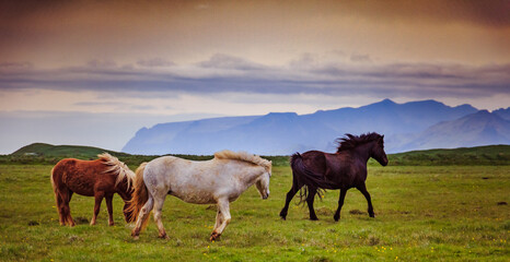 Iceland