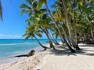 Plage des caraïbes dans une réserve naturelle avec une mer bleue turquoise et de nombreux...