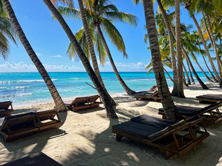 Transat blanc et bois sur une plage des caraïbes sans personne dans une réserve naturelle avec...