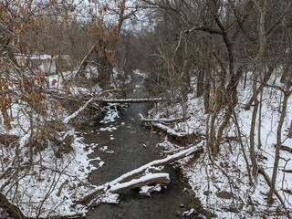 Mount raineer trail