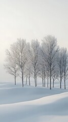 Obraz premium Snowy forest with trees standing silence picture