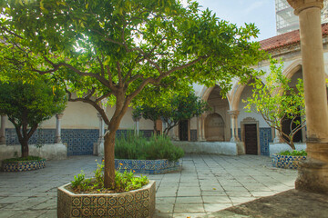 courtyard within a historic monastery, featuring lush greenery, potted plants, and a glimpse of the surrounding architecture, creating a tranquil and inviting atmosphere.