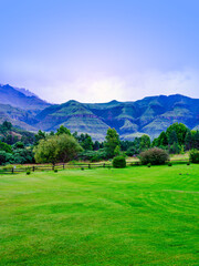 Drakensberg mountain and Cathkin Peak in the background of a lush green grass field, KwaZulu-Natal, South Africa