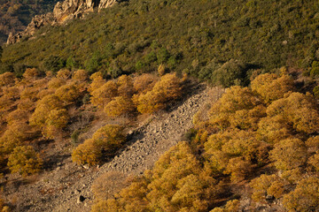 Villuercas Ibores Jara, Villuercas