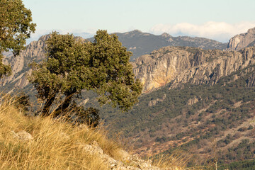 Villuercas Ibores Jara, Villuercas