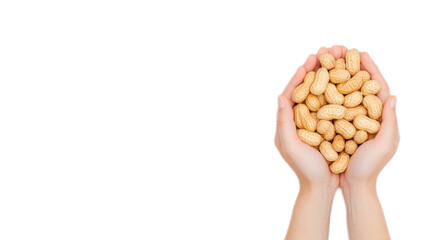 Obraz premium Hands Holding Raw Peanuts Together on White Background