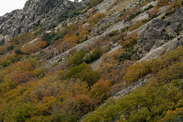 Geoparque Villuercas Ibores Jara