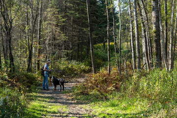 A woman walking her mountain dog in the Quebec forest