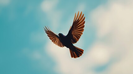 Obraz premium Bird in flight sky wildlife photography natural environment aerial view freedom and grace