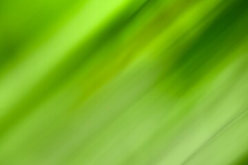 Abstract Green Nature Background, Diagonal Blurred Lines with Fresh Spring Colors