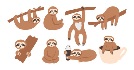 Adorable sloth animals collection. Hand drawn tropical bears character on the tree, sitting, hanging and relax © anntre
