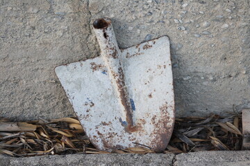 old shovel in the ground