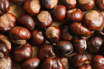 Obraz premium Chestnut texture on a brown background. Shiny autumn chestnuts symbolizing fall. Warm seasonal backdrop. Natural harvest decoration. Forest inspired autumn theme.