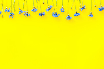 Summer flowers pattern with blue cornflowers on yellow backgroun