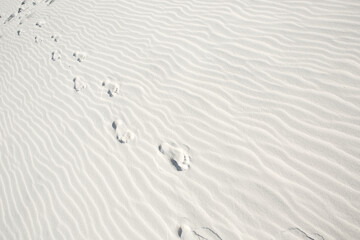 Footprints in White Sandy Beach