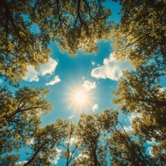 Obraz premium Illuminated trees before gorgeous sky
