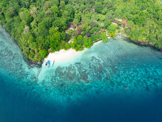 The tropical island of Bangka, just north of Sulawesi in Indonesia, is fringed by healthy coral...