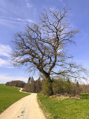 Obraz premium Aktuelle Situation des Klimawandels in Europa