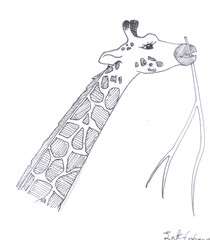 hand drawn illustration of a man with a sword