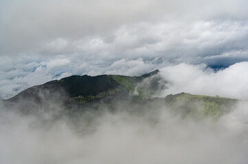 View of the forest from the mountain. Fog. Alps
