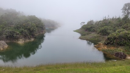 En la naturaleza la magia es gris  © LuisGonzaga