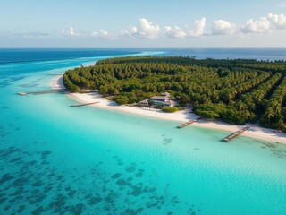 Obraz premium A stunning aerial view of a lush tropical beachfront property with crystal clear turquoise waters, perfect for investment opportunities, financial, tropical