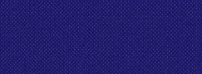 Led screen. Pixel textured display. Digital background with dots. Lcd monitor. Color electronic diode effect. Violet, blue television videowall. Projector grid template. Vector illustration wallpaper	