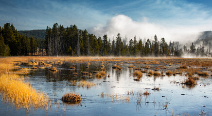 Fototapeta premium Yellowstone Cold Fall Morning