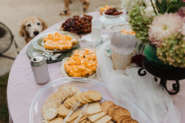 Elegant Wedding Grazing Table with Cheese Cubes, Crackers, Grapes, and Vibrant Floral Centerpiece Featuring a Curious Dog for Rustic Outdoor Reception